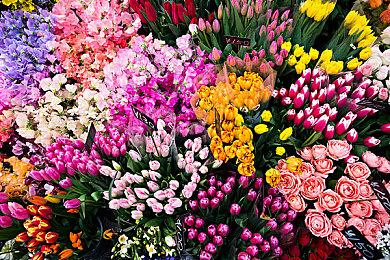 《暗黑破坏神3》国服回归 老玩家不需要重买游戏