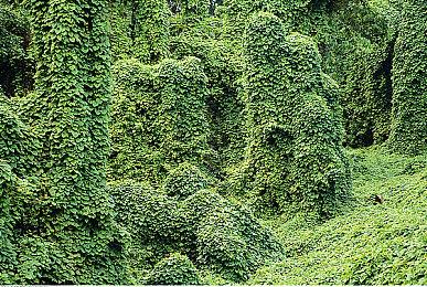 《星球大战：亡命之徒》Steam商店页 需关联育碧账户